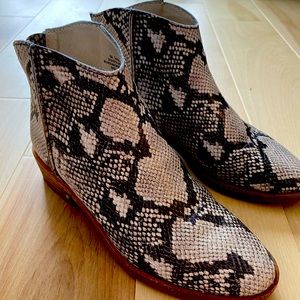 Dolce vita booties size 6